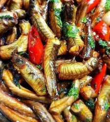 Cá Kèo Kho (600GR) 270